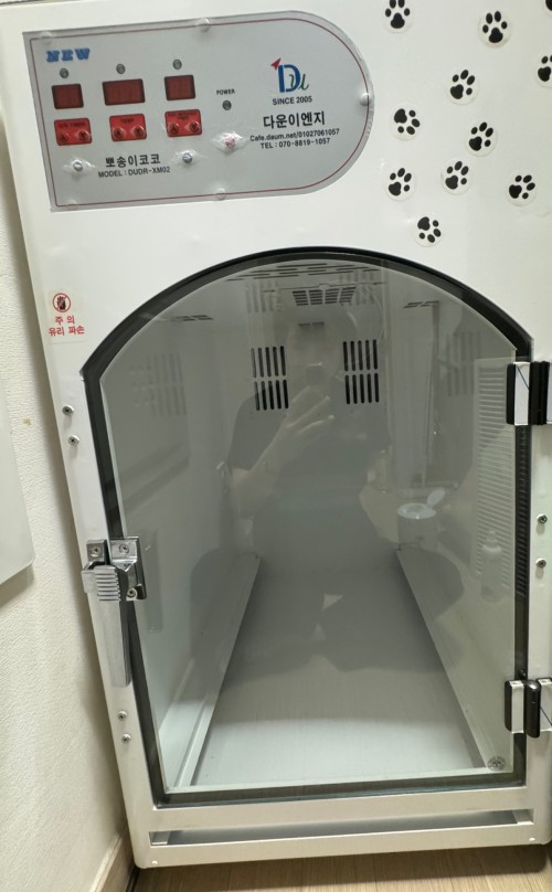 뽀송이코코 다운이엔지 강아지드라이룸